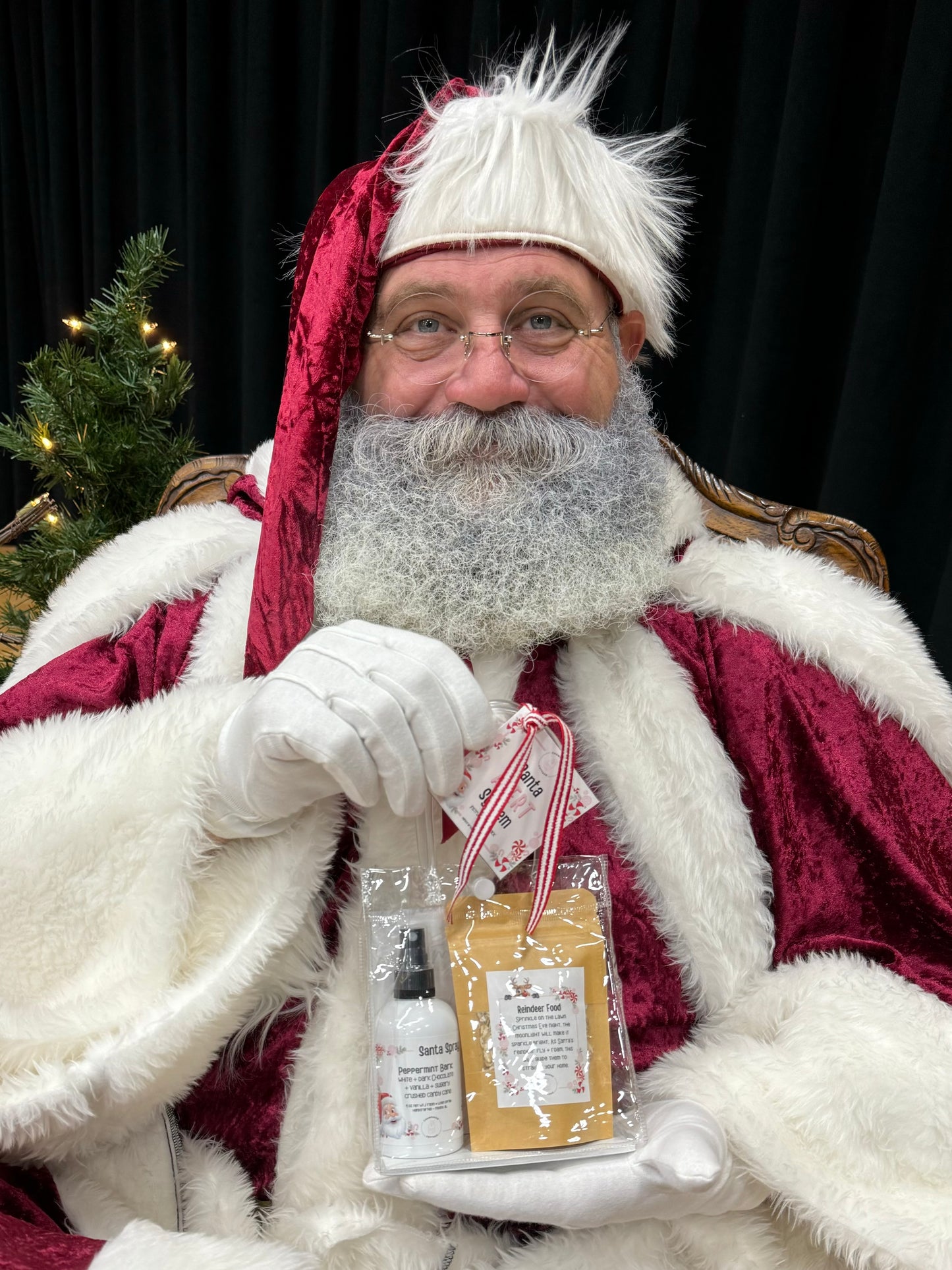 Santa Alert System™ Kit