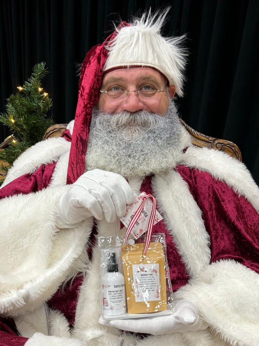 Santa Alert System™ Kit