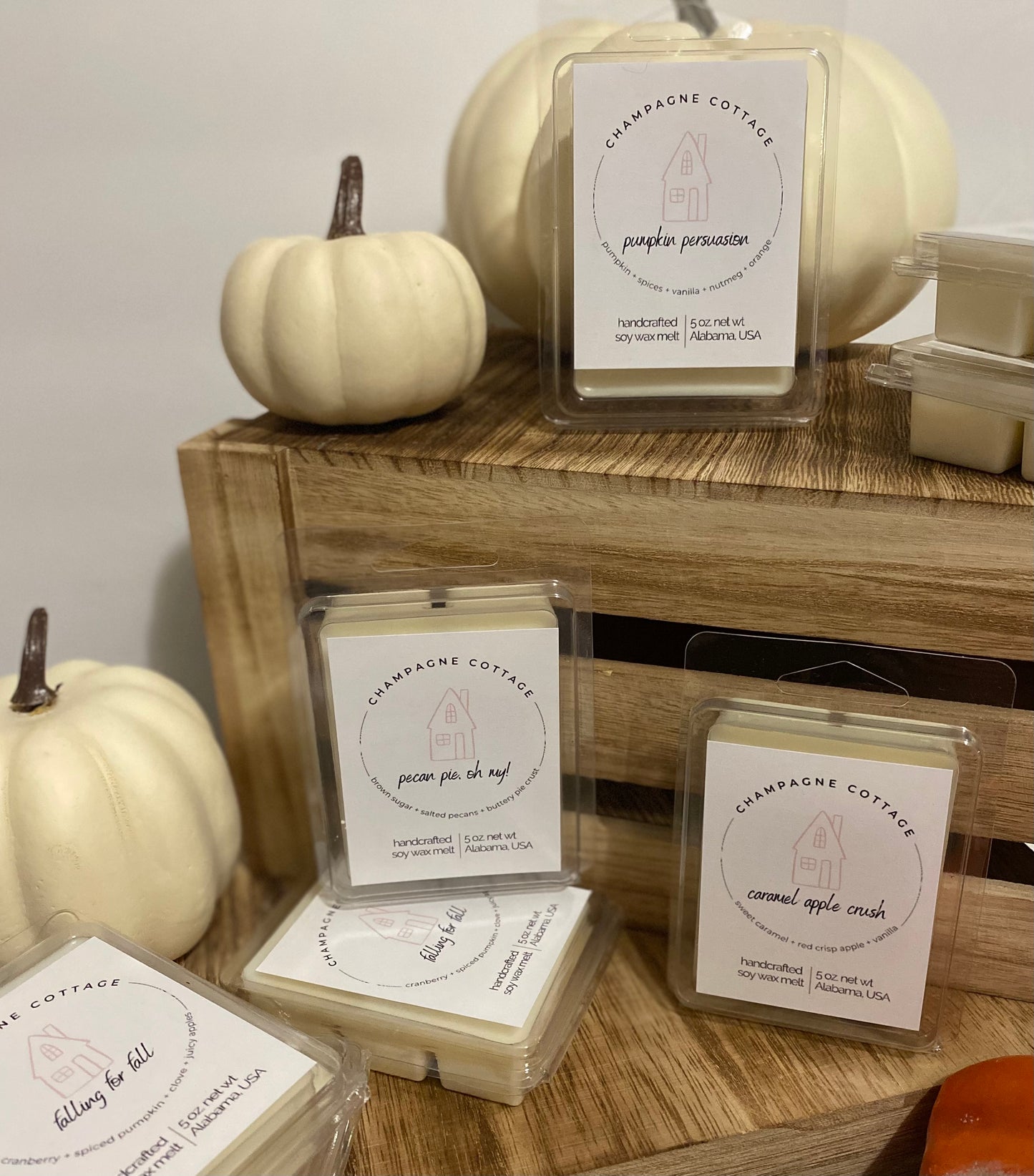 Falling for Fall - Wax Melt (seasonal)