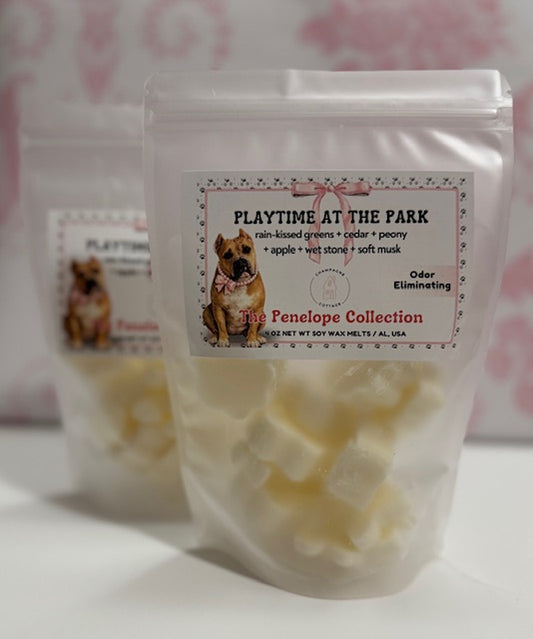 Playtime at the Park Wax Melts - The Penelope Collection